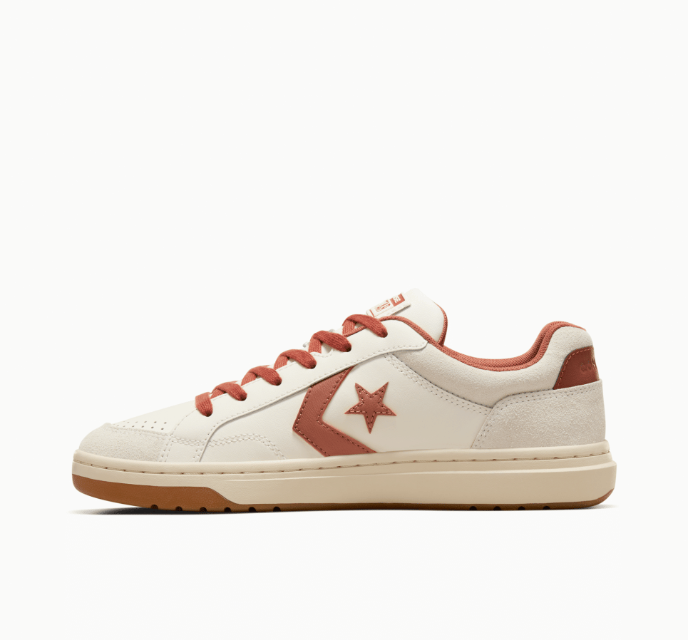 Pro Blaze Classic Leather and Suede