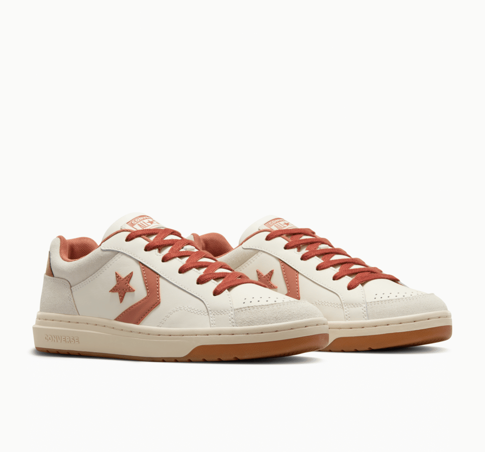 Pro Blaze Classic Leather and Suede